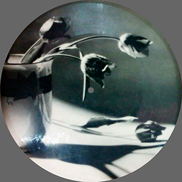 One-sided flexible photo-record (front side) – односторонняя гибкая фотопластинка (лицевая сторона)