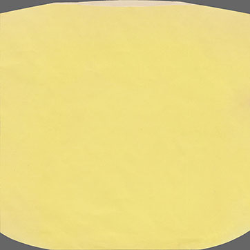 WILD LIFE LP by Apple (UK) – yellow inner sleeve, back side